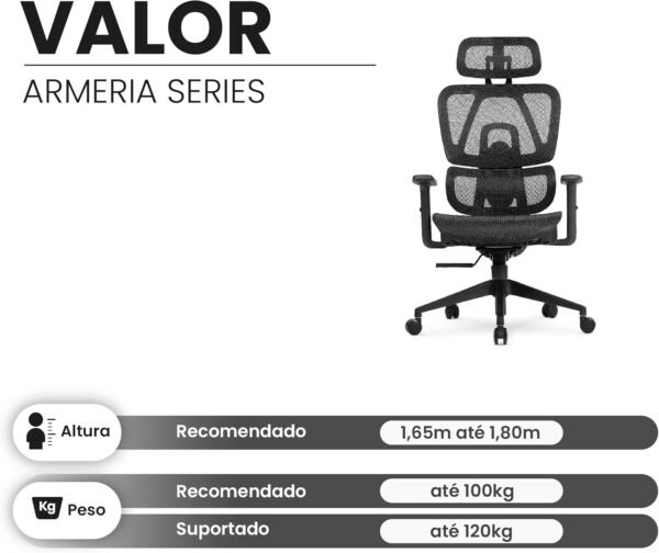 Cadeira Escritório Ergonomica DT3 Valor com revestimento Mesh Vidartex, apoio de cabeça 2D,braços 1D,ajuste na altura do encosto,suporta até 120kg e altura máx. de 1,90m - Imagem 3