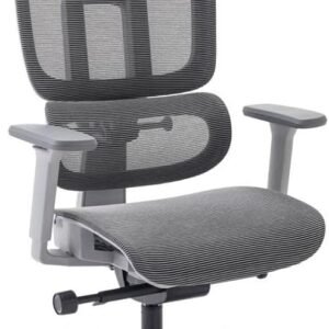 Cadeira de Escritorio Ergonomica Presidente Giratoria Mesh Office Premium Grafite Elements Sophy