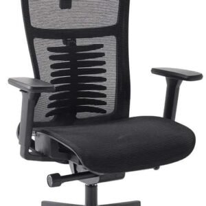 Cadeira de Escritório Ergonômica Preto Elements Vertta Special