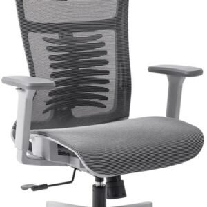 Cadeira de Escritório Ergonômico Cinza Elements Vertta Pro