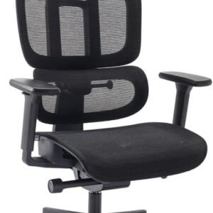 Cadeira de Escritorio Ergonômico Preto Elements Sophy