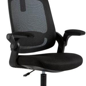 Cadeira de Escritorio Giratoria em Tela Mesh Preta Elements Astra