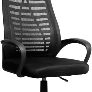 Cadeira de Escritório Secretária Giratória com Encosto Arco Confortável em Malha Respirável | Home Office | Zinnia Aloe | Preto | ZNO-ALOE-BK