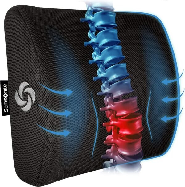 SAMSONITE Almofada de suporte lombar para cadeira de escritório e assento de carro, espuma viscoelástica perfeitamente equilibrada, almofada versátil para uso na parte inferior das costas