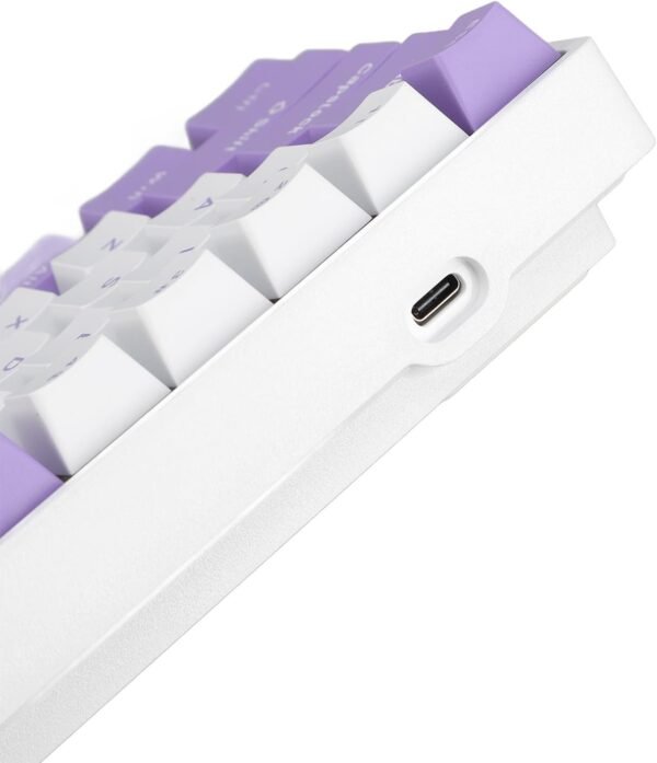 Teclado de Jogo Com Fio Compacto, Teclado Mecânico de 68 Teclas Interruptor Vermelho Ergonômico Portátil Rgb Retroiluminado para Pc Com Porta Usb - Imagem 9