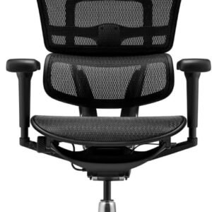 Cadeira Ergonômica - Ergohuman Ultra - Conforto, Tecnologia e Suporte Ergonômico Avançado