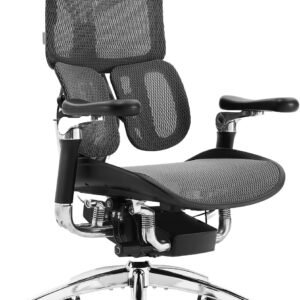 Cadeira Ergonomica de Escritorio com Suporte Lombar Duplo Dinamico Apoios de Braco 6D Assento com Profundidade Ajustavel Encosto Independente Apoio de Cabeca Integrado