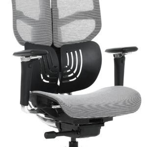 Cadeira Escritório Ergonomica DT3 Frost com revestimento Mesh DT3 Vintex-F™, apoio de cabeça 3D,braços 5D,Estrutura em Alumínio+Nylon,suporta até 160kg e altura máx. de 1,90m (Grey)