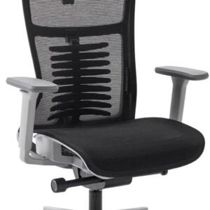 Cadeira de Escritorio Elements Vertta Grey and Black Special