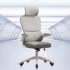 Cadeira de escritório, design ergonômico com suporte lombar independente, cabeça ajustável (Cinza)