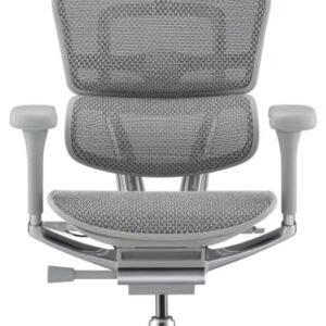 Ergohuman Elite 2 Cadeira De Escritório Ergonômica (Cinza)