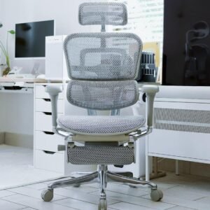 Ergohuman Elite 2 Cadeira De Escritório Ergonômica com Apoio de Pés (CINZA)