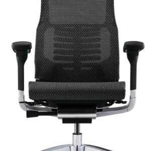 Pofit 2 Cadeira De Escritório Ergonômica (Preto)