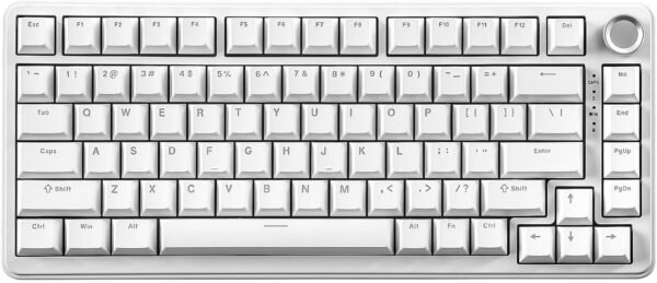 YUNZII Teclado mecânico com fio B75, teclado 75% hot swappable com botão, teclado para jogos com junta retroiluminada RGB com teclas PBT de tiro duplo, perfil cereja, WIN/MAC (branco, interruptor