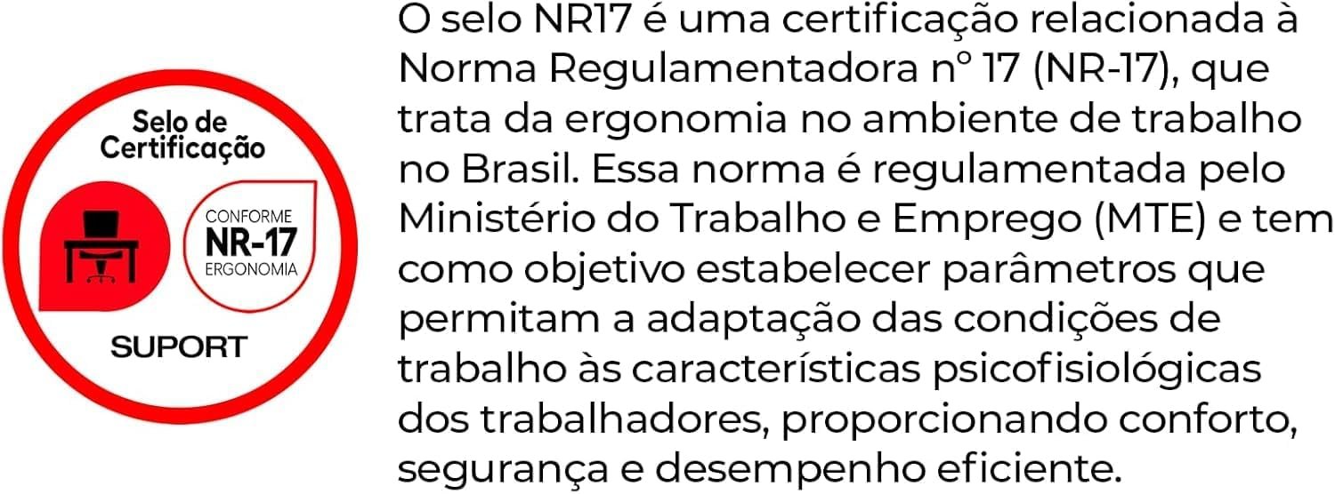 Cadeira Gamer Design Estilo Gamer, Tecido Respirável, Design Ergonômico Com Apoio para Os Pés - Fox Racer - Imagem 3