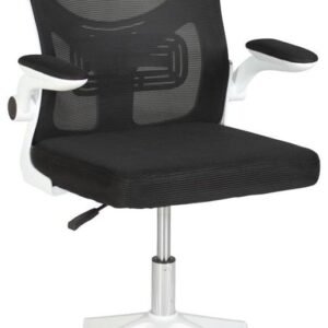 Cadeira De EscritóRio Com Base GiratóRia E RegulaçãO Em Altura(Preto)
