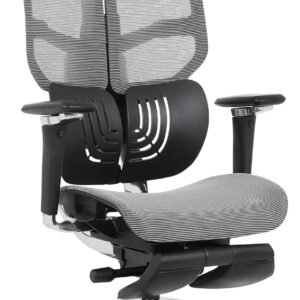 Cadeira Escritório Ergonomica DT3 Frost FT, c/apoio de pé com revestimento Mesh DT3 Vintex-F™, apoio de cabeça 3D,braços 5D,Estrutura em Alumínio+Nylon,suporta até 160kg e altura máx. de 1,90m (Grey)