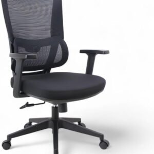 Cadeira de Escritório Diretor Titan Mesh Apoio de Lombar Sistema Relax