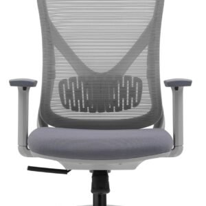 Cadeira de escritório com encosto de cabeça, encosto de malha ergonômica, encosto de cabeça ajustável 2D, apoios de braço 3D, suporte lombar ajustável, almofada de assento grossa (cinza)