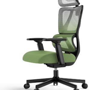 ProtoArc Cadeira de escritório ergonômica - verde